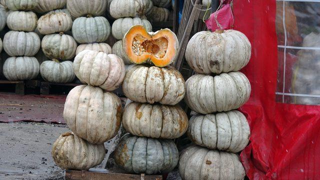 Düzce bal kabağının ünü, kent sınırlarını aştı
