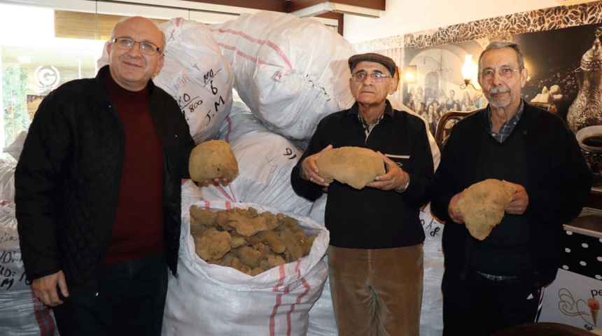 Bodrum'dan 2 yıl sonra Yunanistan'a sünger ihracatı başladı
