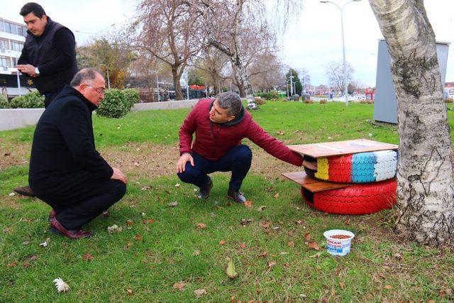 Yalova’da oto lastikleri kedilere ev oldu