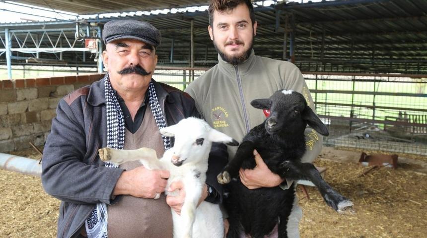 Aydın B&uuml;y&uuml;kşehir, yetiştiriciyi Ege Et ile destekliyor