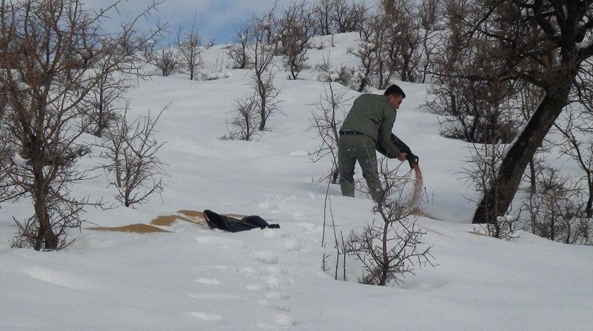 Yaban hayvanlarına yem bırakıldı