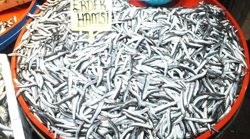 Hamsi yüzde 300 zamlandı