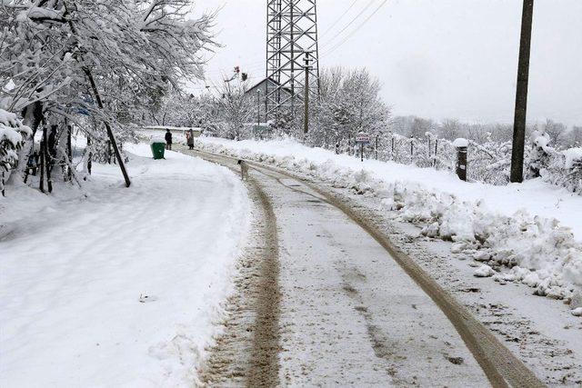 Akyazı Belediyesi tüm ekipleri ile kar mesaisinde