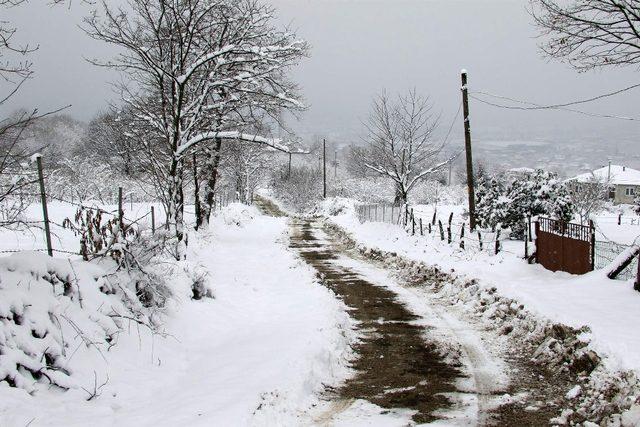 Akyazı Belediyesi tüm ekipleri ile kar mesaisinde