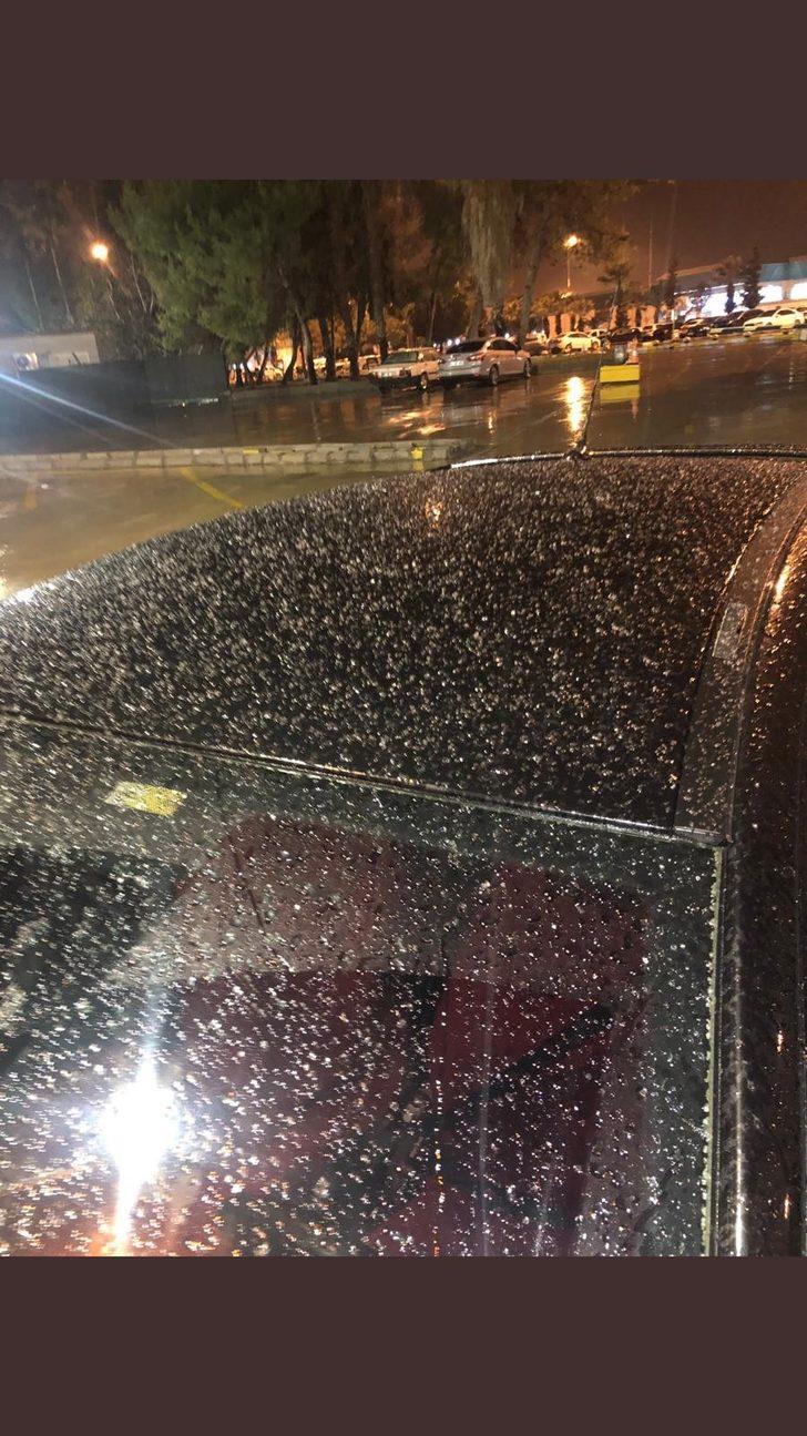 Adana'da kar şaşkınlığı! Yıllar sonra bir ilk G1