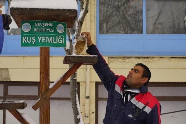 Nevşehir Belediyesi sokak hayvanlarına yem bıraktı