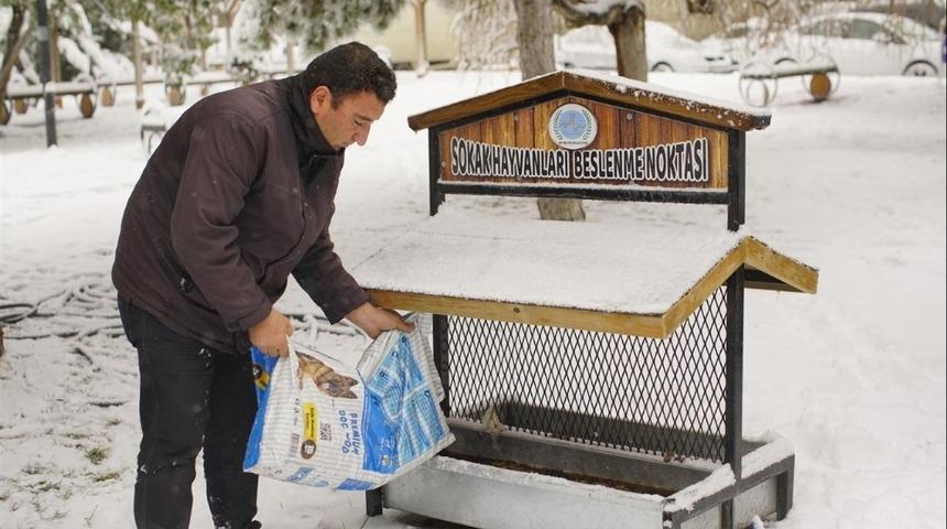 Nevşehir Belediyesi sokak hayvanlarına yem bıraktı