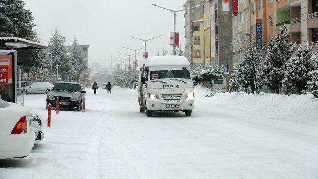 Ahlat’ta kar tatili