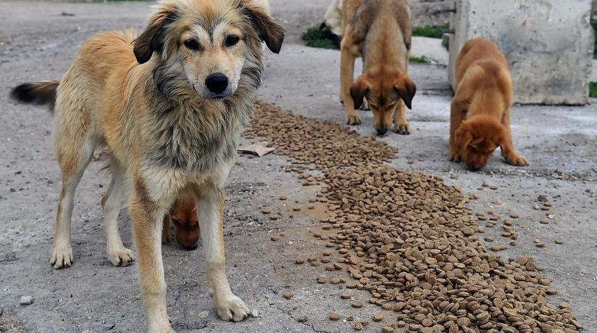 Can dostlar unutulmadı