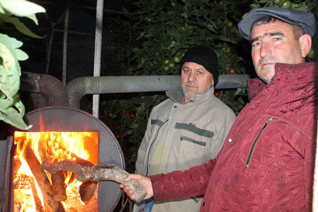 Sera üreticileri, gözleri termometrede 'don nöbeti' tutuyor