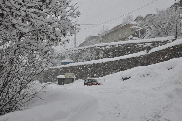 Van, Bitlis ve Hakkari'de 970 yerleşim biriminin yolu kapalı