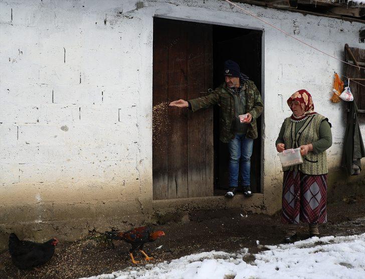 İki odalı yayla evindeki zorlu yaşam mücadelesi G2