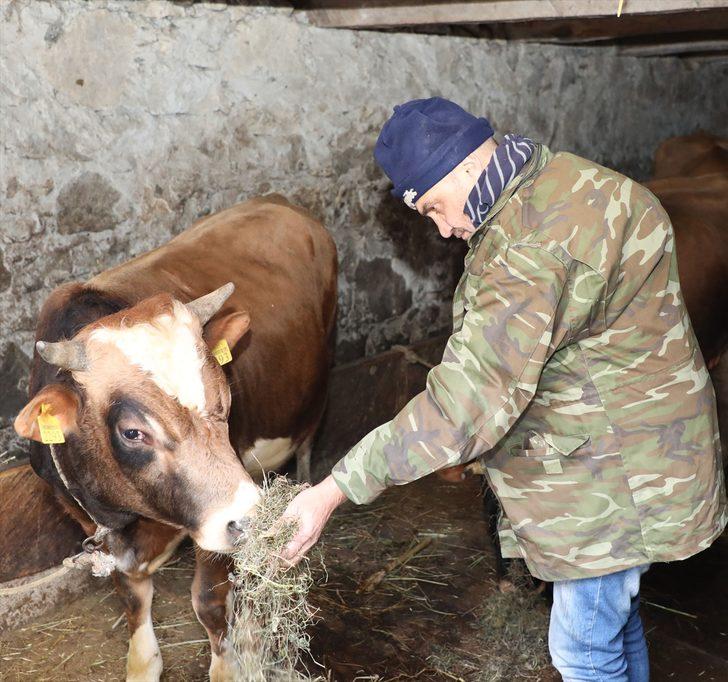 İki odalı yayla evindeki zorlu yaşam mücadelesi G3