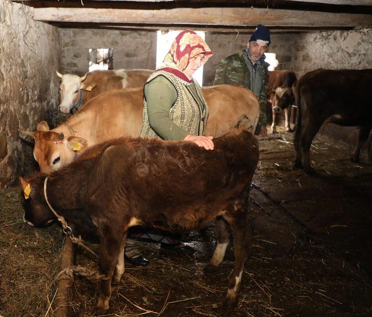 İki odalı yayla evindeki zorlu yaşam mücadelesi G4