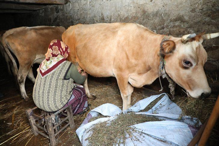 İki odalı yayla evindeki zorlu yaşam mücadelesi G5