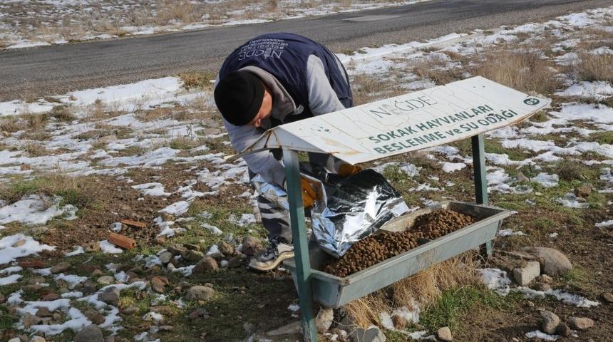 Niğde Belediyesi sokak hayvanlarına sahip &ccedil;ıkıyor