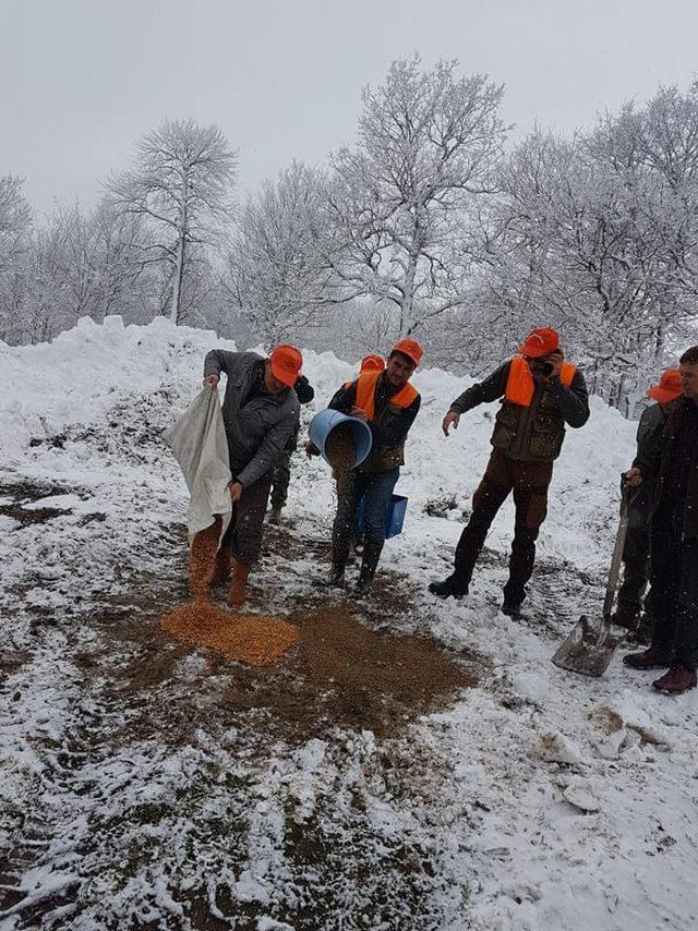 Lapseki’de yaban hayvanları için doğaya 450 kilogram yem döküldü