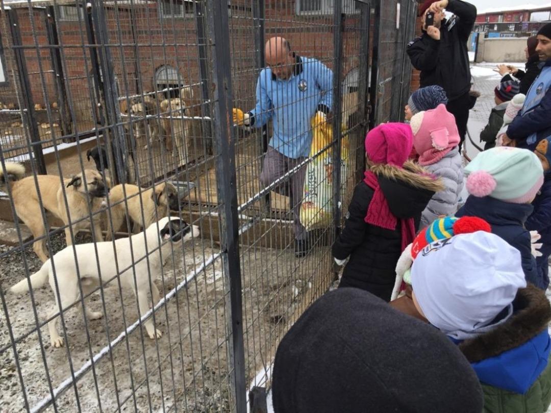 Minik &ouml;ğrenciler sokak hayvanlarını unutmadı