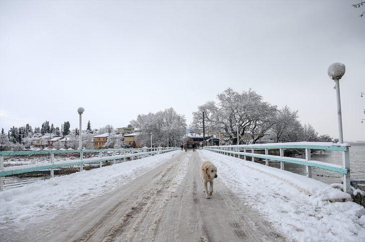 Türkiye’deki "Küçük Venedik" beyaz örtüsüyle ayrı güzel G4