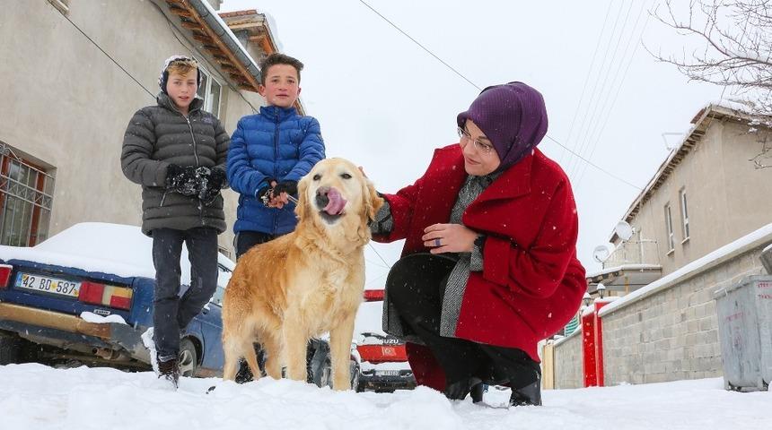 Meram&rsquo;da sokak hayvanları yalnız değil