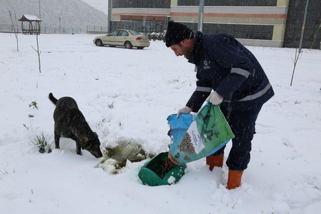 Kocaeli’de sokak hayvanları unutulmuyor