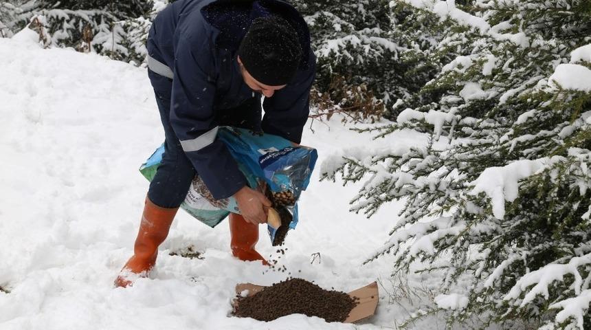 Kocaeli&rsquo;de sokak hayvanları unutulmuyor