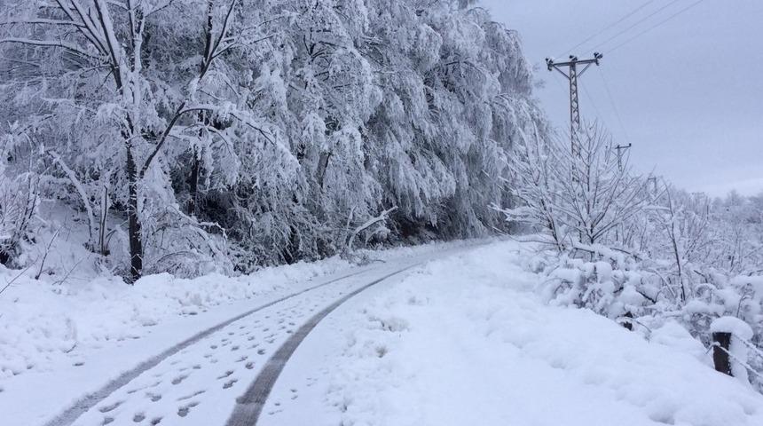 Fatsa&rsquo;da kırsalda karla m&uuml;cadele