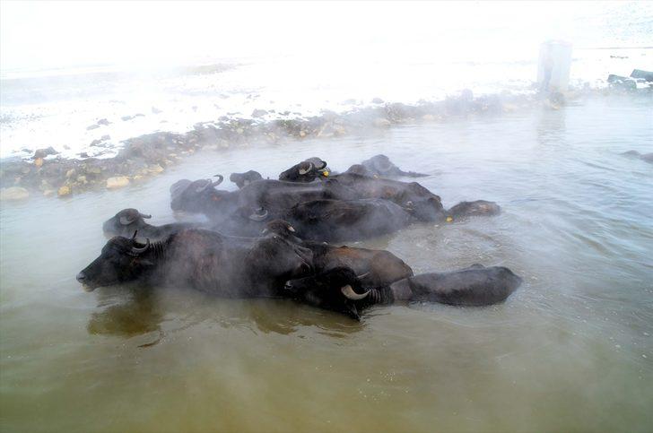 Bu fotoğraflar bugün Türkiye'de çekildi G3