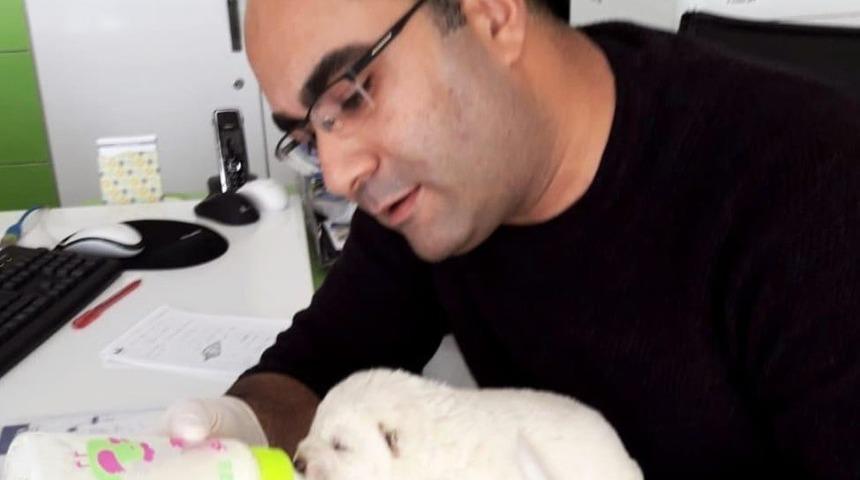 Donmak &uuml;zere bulundu, biberonla beslendi