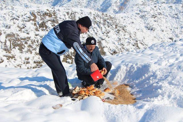 Sungurlu Belediyesi sokak hayvanlarını unutmadı