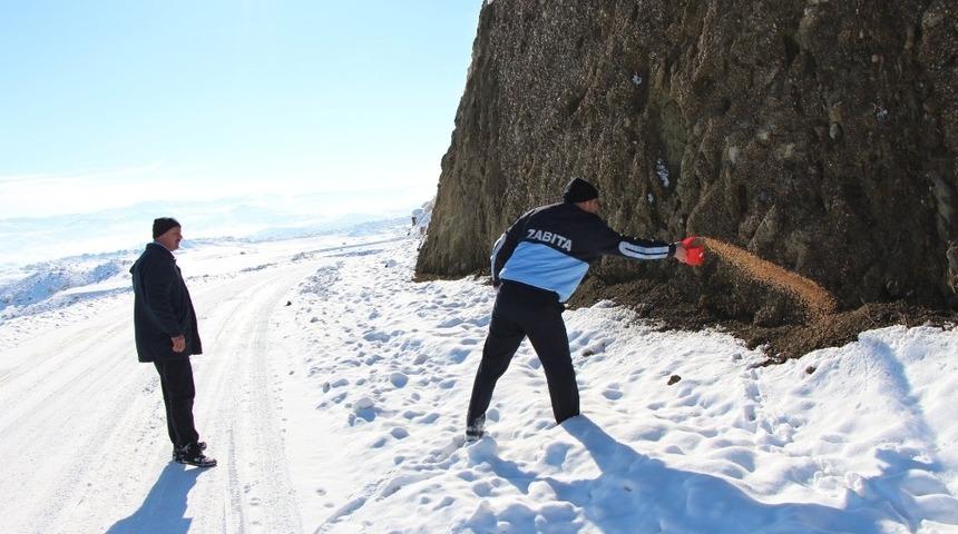 Sungurlu Belediyesi sokak hayvanlarını unutmadı