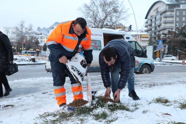 Çankırı Belediyesi soğuk havada sokak hayvanlarını unutmadı