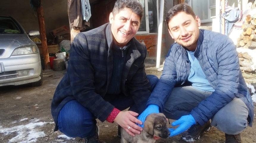 Yaralı köpek yavrusunu muhtar sahiplendi