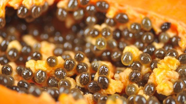 İsminin hakkını veriyor! Meleklerin meyvesi papayayla kanserden korunun