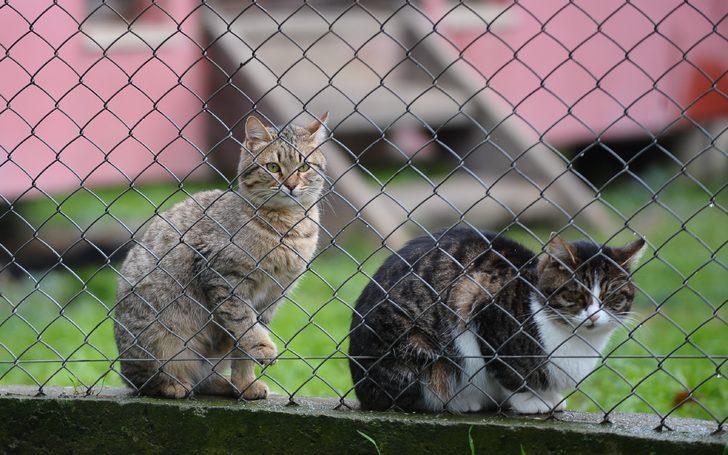 Onlar kışı özel villalarında, soba başında geçiriyorlar G1