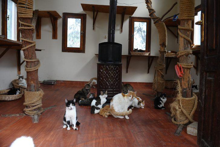 Onlar kışı özel villalarında, soba başında geçiriyorlar G2