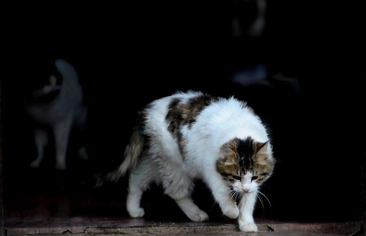 Onlar kışı özel villalarında, soba başında geçiriyorlar G4