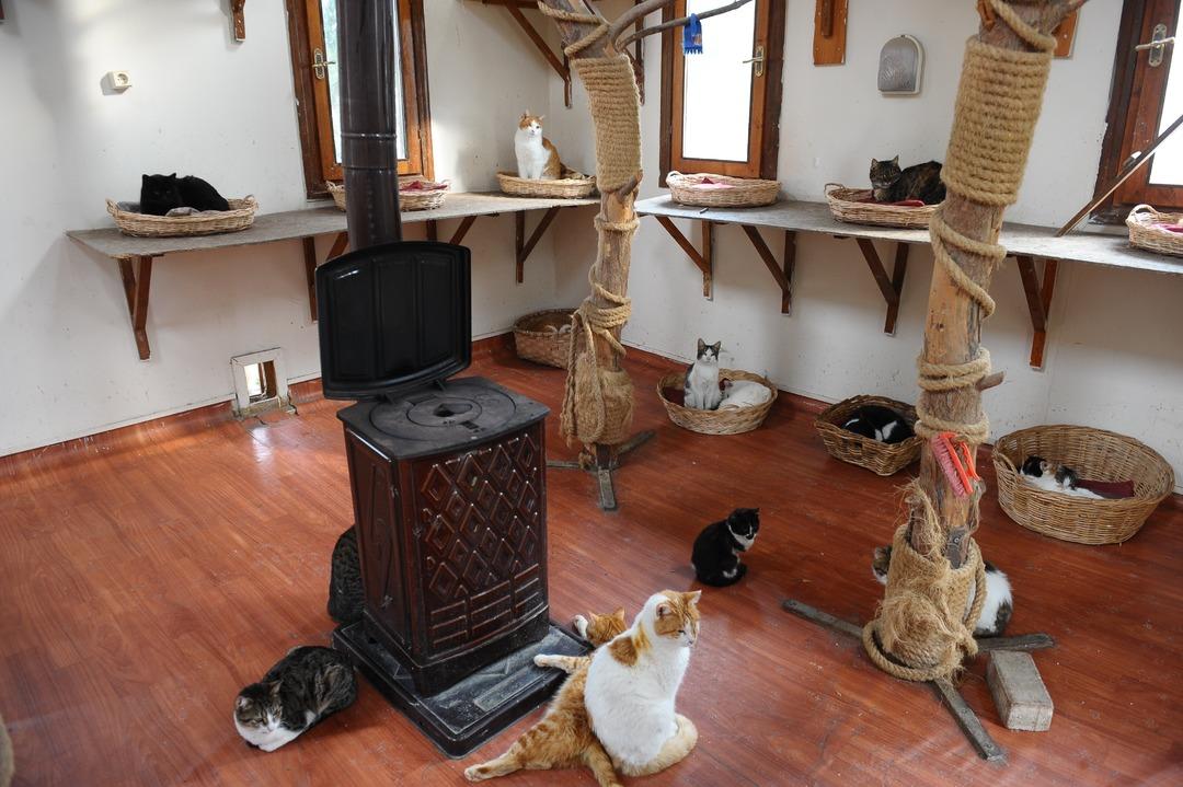 Onlar kışı &ouml;zel villalarında, soba başında ge&ccedil;iriyorlar