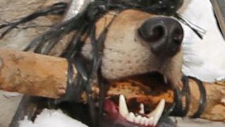  Köylüler yakaladı, kaymakam serbest bıraktırdı