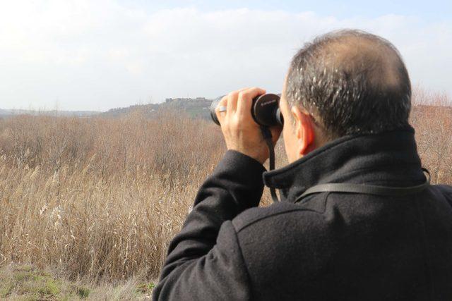 Hevsel Bahçeleri'ndeki hayvan türlerine sel darbesi