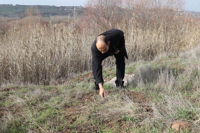 Hevsel Bahçeleri'ndeki hayvan türlerine sel darbesi