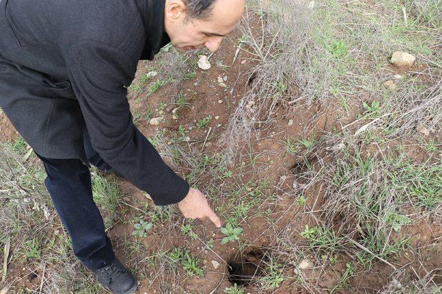 Hevsel Bahçeleri'ndeki hayvan türlerine sel darbesi