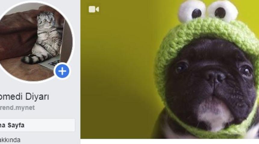 Komedi Diyarı Facebook sayfası isim değişikliği hakkında