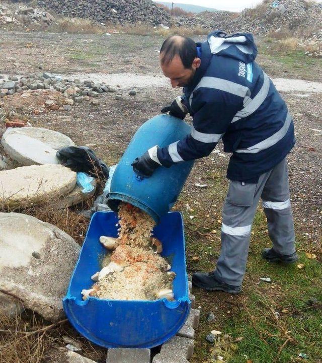 Kütahya’da sokak hayvanlarına yiyecek dağıtıldı