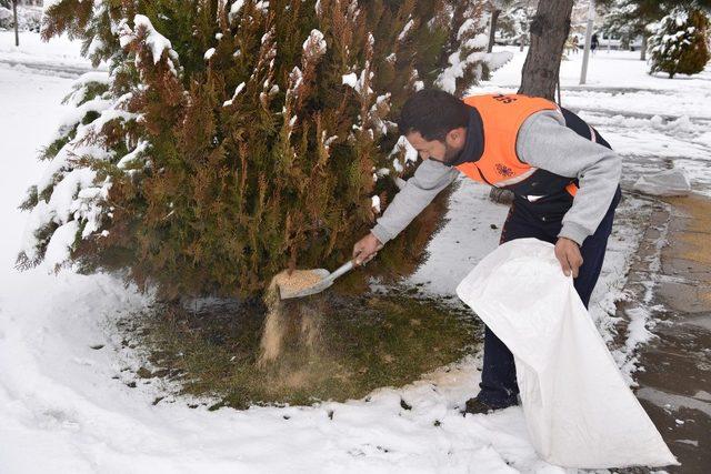 Selçuklu Belediyesi soğuk havada sokak hayvanlarını unutmadı