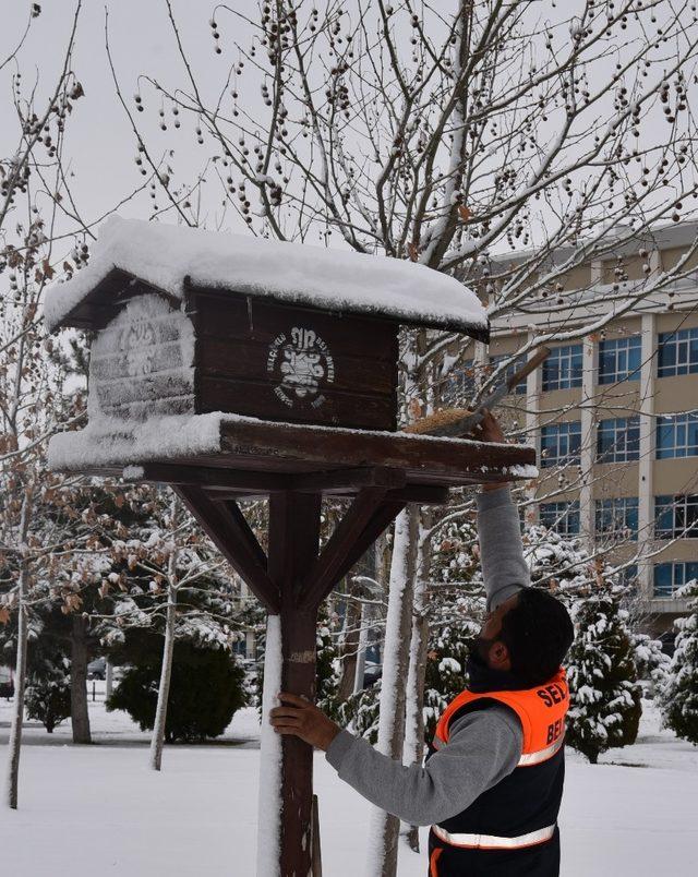 Selçuklu Belediyesi soğuk havada sokak hayvanlarını unutmadı