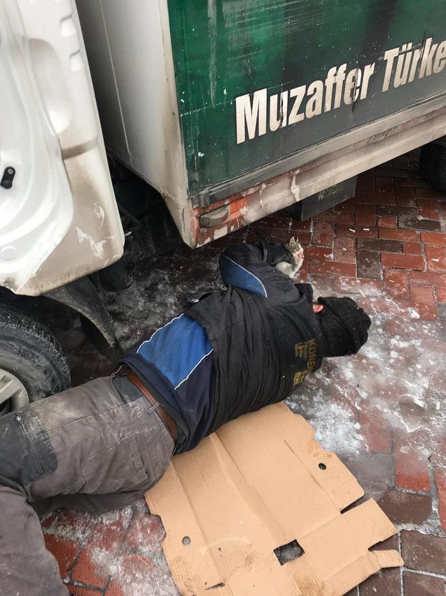 Soğukta girdiği kamyonetin motor bölümünde sıkışan kedi kurtarıldı