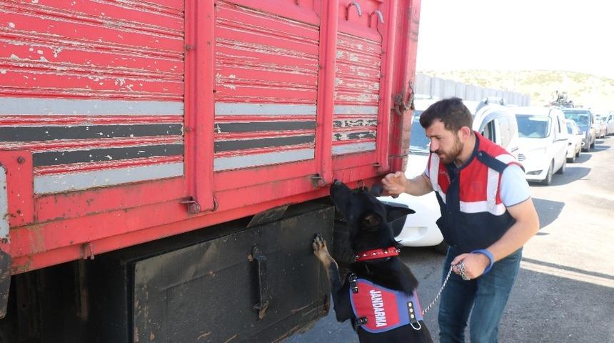 Bing&ouml;l&rsquo;de jandarma 148 faili me&ccedil;hul olayı aydınlattı, 198 kişi tutuklandı