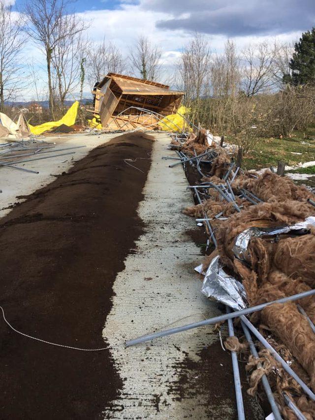 Sapanca'da kuvvetli rüzgar hasara yol açtı