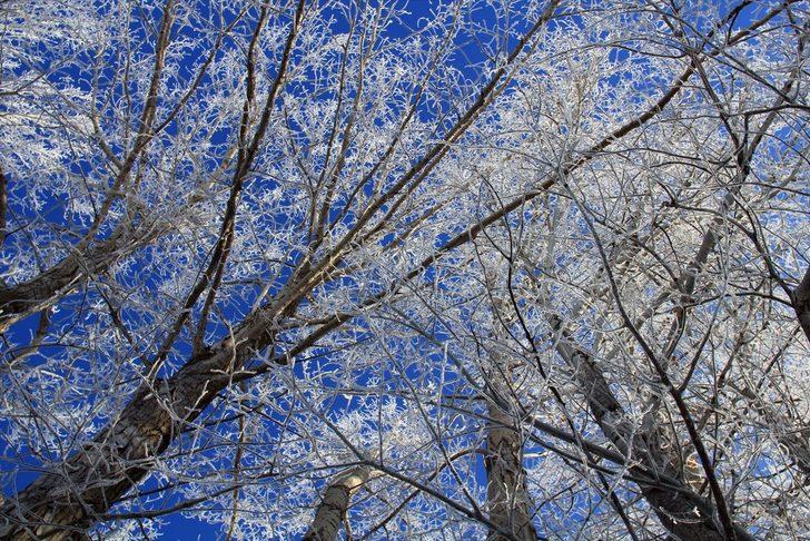 İşte Türkiye'nin en soğuk ilçesi G4